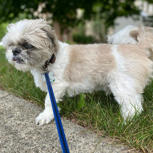 Meet your Posher, Jeffrey - Picture 1 of 1